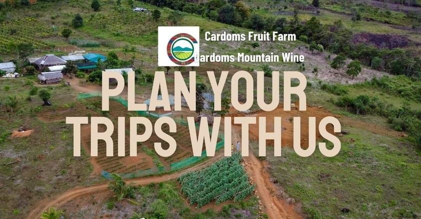 Cardoms Fruit Farm